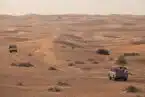 ספארי בדובאי