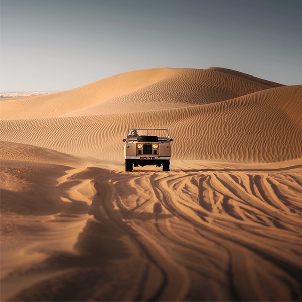 ספארי במדבר דובאי